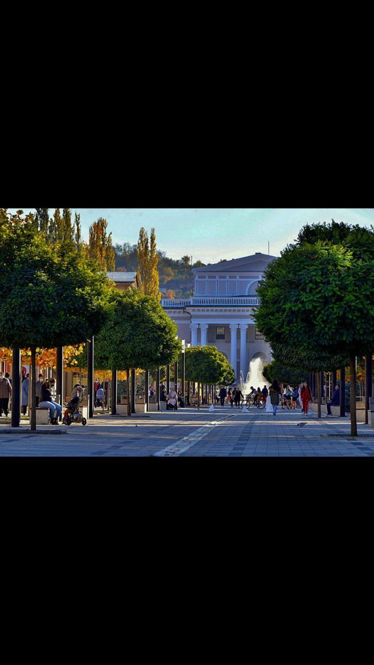 Refugiul Castelului Διαμέρισμα Χουνεντοάρα Εξωτερικό φωτογραφία